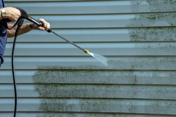 Best Soft Washing for Delicate Surfaces in Manly, IA